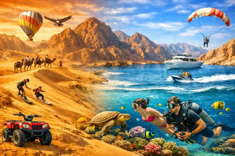 The Hidden Wonders of Sinai: Beyond the Beaches and Into the Wild