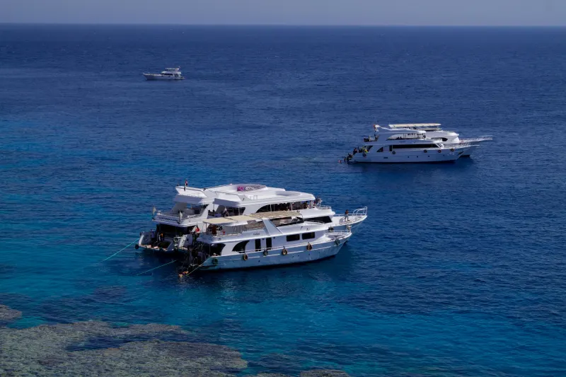 Top Diving Spots in Sharm El Sheikh, Dahab, and Taba