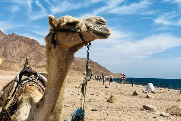 Sharm El Sheikh coast and Red Sea